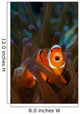 Yawning Anemonefish Raja Ampat Wall Decal