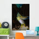 Blue Streak Cleaner Wrasse Wall Decal