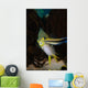 Blue Streak Cleaner Wrasse Wall Decal