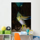Blue Streak Cleaner Wrasse Wall Decal