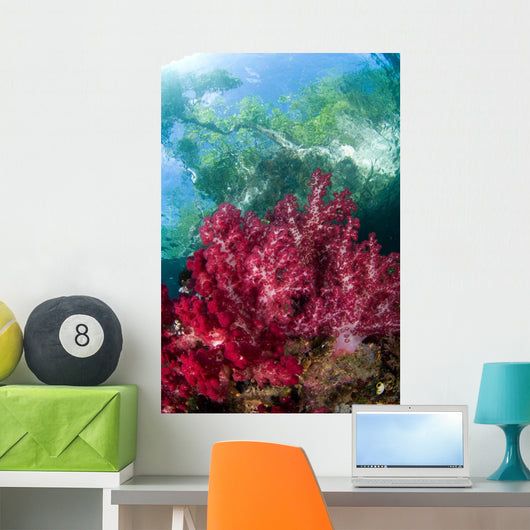 Soft Coral Grows Shallows Wall Decal