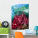 Soft Coral Grows Shallows Wall Decal