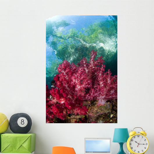 Soft Coral Grows Shallows Wall Decal
