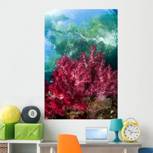 Soft Coral Grows Shallows Wall Decal