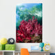 Soft Coral Grows Shallows Wall Decal