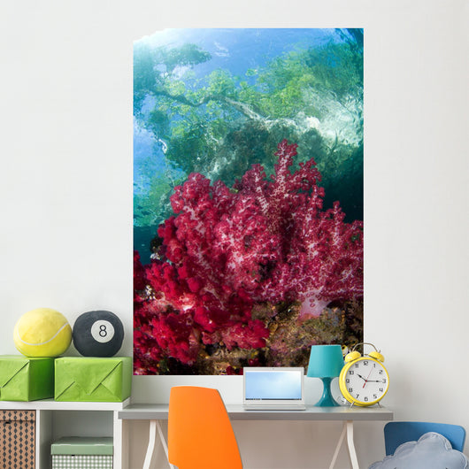 Soft Coral Grows Shallows Wall Decal