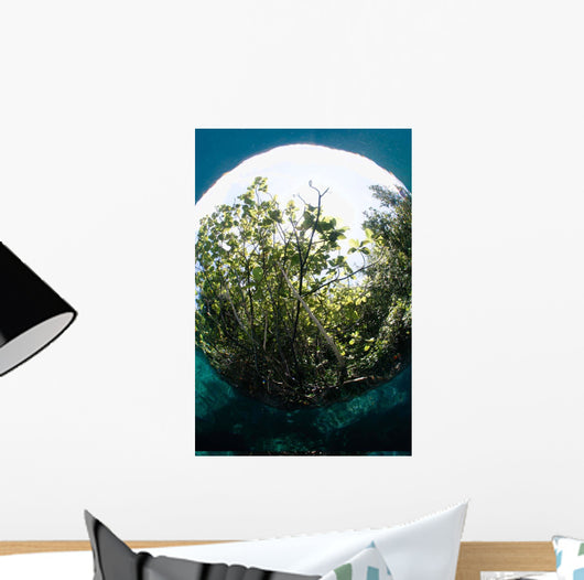 Snells Window Effect from Wall Decal