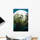 Snells Window Effect from Wall Decal
