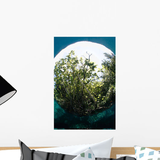 Snells Window Effect from Wall Decal