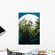 Snells Window Effect from Wall Decal