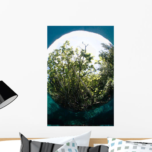 Snells Window Effect from Wall Decal