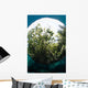 Snells Window Effect from Wall Decal
