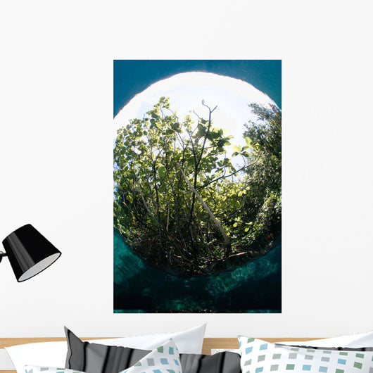 Snells Window Effect from Wall Decal