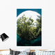 Snells Window Effect from Wall Decal