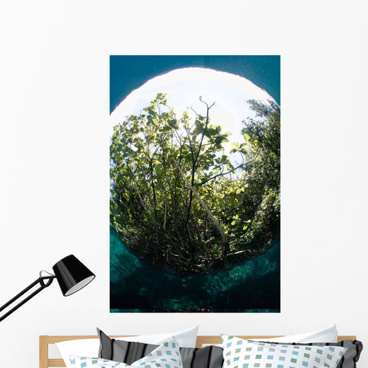 Snells Window Effect from Wall Decal