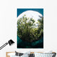 Snells Window Effect from Wall Decal