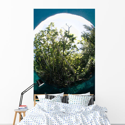 Snells Window Effect from Wall Decal
