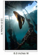 Juvenile Longfin Batfish Raja Wall Decal Design 1