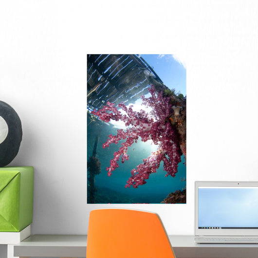 Soft Coral Dendronephthya Sp Wall Decal Design 2