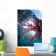 Soft Coral Dendronephthya Sp Wall Decal Design 2