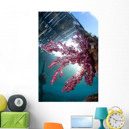 Soft Coral Dendronephthya Sp Wall Decal Design 2