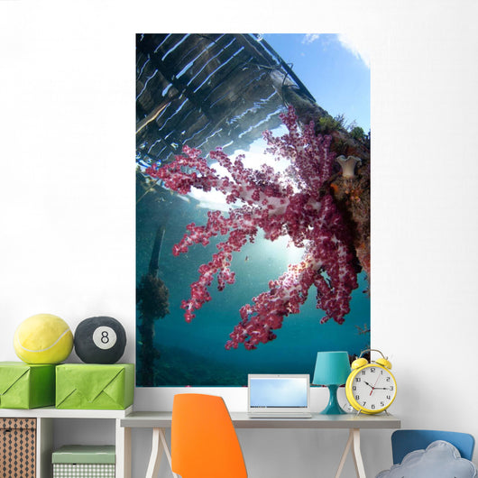 Soft Coral Dendronephthya Sp Wall Decal Design 2