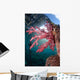 Soft Coral Dendronephthya Sp Wall Decal Design 1