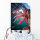 Soft Coral Dendronephthya Sp Wall Decal Design 1
