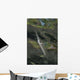 Estuarine Halfbeak Reflecting Surface Wall Decal