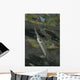 Estuarine Halfbeak Reflecting Surface Wall Decal
