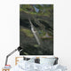 Estuarine Halfbeak Reflecting Surface Wall Decal