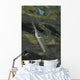 Estuarine Halfbeak Reflecting Surface Wall Decal