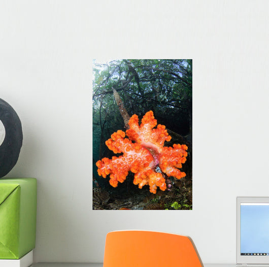 Soft Corals Growing Roots Wall Decal Design 2