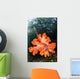 Soft Corals Growing Roots Wall Decal Design 2