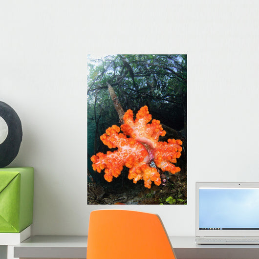 Soft Corals Growing Roots Wall Decal Design 2