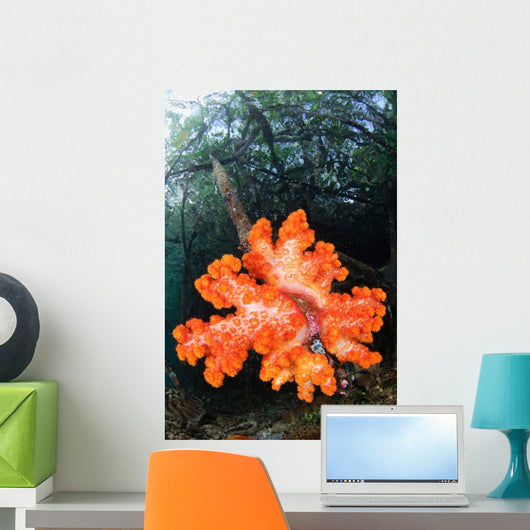 Soft Corals Growing Roots Wall Decal Design 2