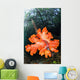 Soft Corals Growing Roots Wall Decal Design 2