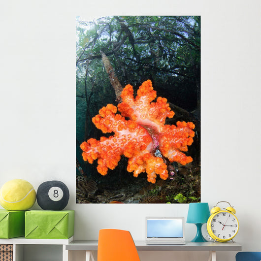 Soft Corals Growing Roots Wall Decal Design 2