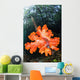 Soft Corals Growing Roots Wall Decal Design 2