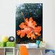 Soft Corals Growing Roots Wall Decal Design 2