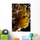Backlit Leaf Scorpionfish Raja Wall Decal