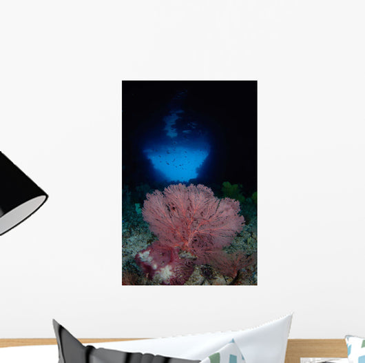 Gorgonian Sea Fan Front Wall Decal