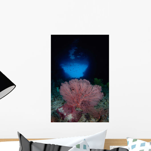 Gorgonian Sea Fan Front Wall Decal