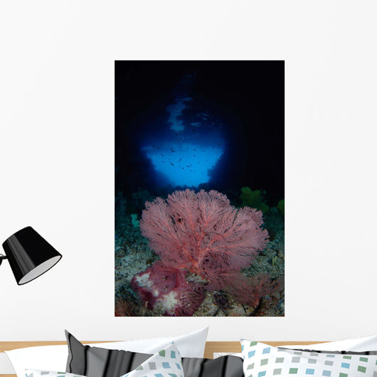 Gorgonian Sea Fan Front Wall Decal