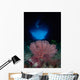 Gorgonian Sea Fan Front Wall Decal