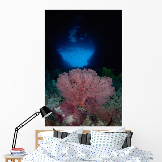 Gorgonian Sea Fan Front Wall Decal
