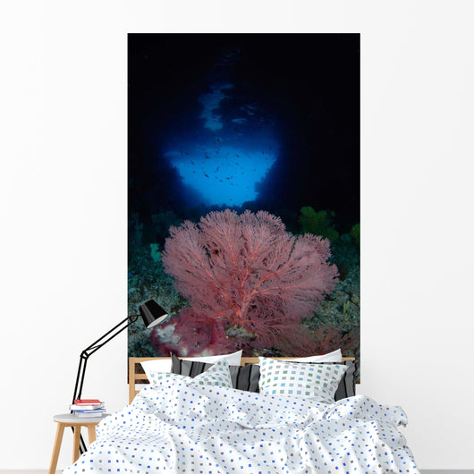 Gorgonian Sea Fan Front Wall Decal