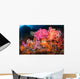 Soft Coral and Tropical Wall Decal
