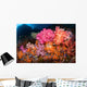 Soft Coral and Tropical Wall Decal