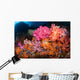 Soft Coral and Tropical Wall Decal